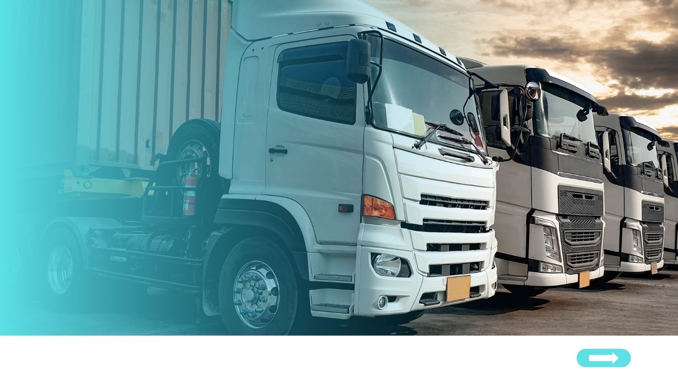 Website Ekspedisi Cargo